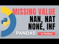 #28. Pandas: What is a missing value? NaN, NaT, None, Inf in Python - 14 | Tutorial