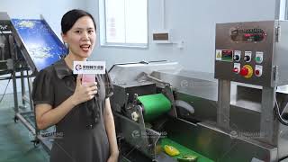 Fengxiang salad processing machine factory