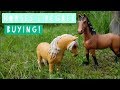 Schleich Horses I Regret Buying! ||Daisy Stalls||