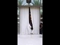 best bridal entrance from dubai 😍😍😍 shorts love dubai