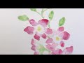 誕生花の絵手紙　12月12日　dendrobium デンファレ