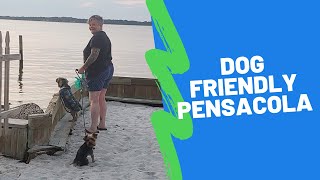 HAVE BONE WILL TRAVEL Pensacola Beach Florida Dog Friendly