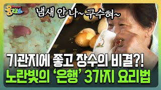 [건강버라이어티 올리브] 기관지에 좋고 장수의 비결?! 노란빛의 '은행' 3가지 요리법