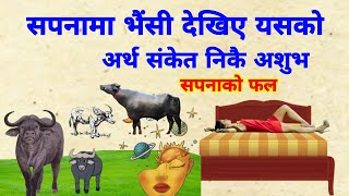 sapanakofal Dream IN night, सपनामा भैंसी देखिए, निकै नराम्रो,तुरुन्तै गर्नुहोस उपाय, sapanakofal