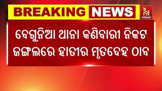 ଖୋର୍ଦ୍ଧା: କଣିବାରୀ ନିକଟ ଜଙ୍ଗଲରେ ହାତୀର ମୃତଦେହ ଠାବ, ବନବିଭାଗର ତଦନ୍ତ ଆରମ୍ଭ | Wild Elephant Body Recovered