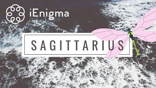 SAGITTARIUS NEW WORLD🌎OF LOVE, MARRIAGE & MILLION DOLLARS MONEY❤️💍💸WITH SOULMATE IS WAITING🚀😱🌈🦋 DEC