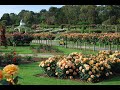 Visiting Victoria State Rose Garden