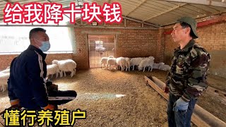 内蒙羊贩子收羊遇懂行养殖户，圈里大小80只羊羔，看这羊能买成吗