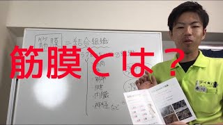 分かりやすい筋膜解説①　筋膜とは？