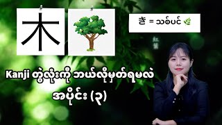 သစ်ပင် | Kanji တွဲလုံးကို ဘယ်လိုမှတ်ရမလဲ အပိုင်း (၃) | Beginner Level