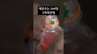 입대고 마셨던 페트병 재사용하면 안되는 이유는? (세균이 득실득실)