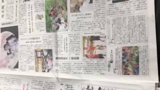 熊本 仏壇店 熊本市南区 熊本日日新聞朝刊チェック！川尻ゆるキャラ ラックルくん・くまモン4コマ漫画