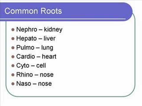 List Of Medical Roots, Suffixes And Prefixes