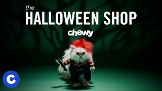 Chewy’s Halloween Shop: Pet Costumes, Toys & Treats