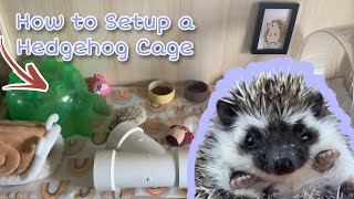 How to Set Up a Hedgehog Cage 🦔