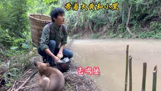 独居山林第十天，带着爱犬去大山里的鱼塘喂鱼，与自然和谐共生【乡野志刚】