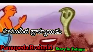 పాముపేద బ్రాహ్మణుడు | Pamupeda Brahmin | Nani ki kahani hindi and telugu | comedy stories