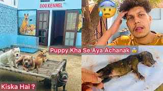 Dog Kennel K Andar Khi Se NewBorn Puppy Aagya😰Achanak Mila Surprise 😢But