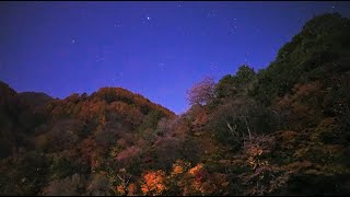 阿智村駒場ダムの紅葉と星空（SONYα7SⅢリアルタイム動画）