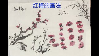 中国画教学岁寒三友篇 红梅的画法 Chinese Ink Wash Painting Tutorial