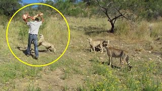 Huyu Jamaa Kimeumana Chui wamevamia Cheetah attack human cheetah attack their master during feeding