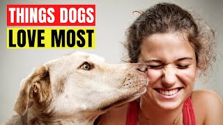 15 Favorite Things Dogs Love the Most