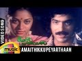 Amaithikku Peyarthaan Video Song | Rail Payanangalil Tamil Movie | TMS | TR | Mango Music Tamil