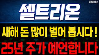 셀트리온 주가 전망. 25년, 수익을 위한 투자 전략. 목표가, 기간 예측은 이렇게.