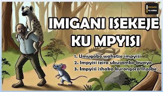 Imigani myiza isekeje ku mpyisi(3 in one)