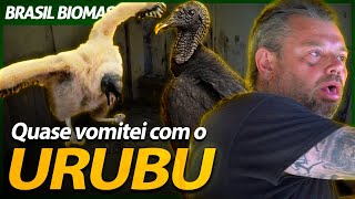 QUASE VOMITEI NO NINHO DO URUBU! | RICHARD RASMUSSEN