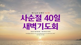 더채움교회  사순절 새벽기도회 17일차(2022.03.18)