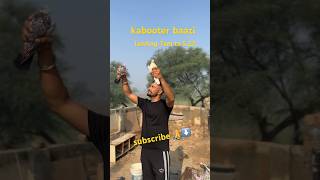 ਸ਼ੋਂਕ ਕਬੂਤਰ ਬਾਜ਼ੀ ਦਾ kabooter baazi #pigeon #shortsvideo #viralvideo