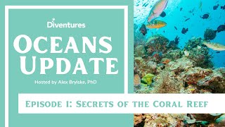Oceans Update Episode 1