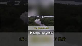 【完結】因綠茶師妹的一句「我不想看見她。」宗主將我禁足荒山，足足一百年。如他所願，我發霉了。發黴以後，我的意識狀態越發不對勁。常常蹲在潮濕的角落裡，和那些紅的藍的綠的蘑菇們一起淋雨。可今天......