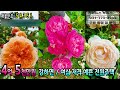 5천5백만원 인하 매매가 3억9천5백만원 강조망최상 여심저격 호텔 분위기 감성 주택.이직으로 인해 눈물을 머금고 내놓는 전원주택 ♣매물문의 031 524 9736