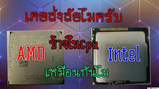 AMD vs INTEL เคยสงสัยกันไมค้างใน Cpu มีอะไร