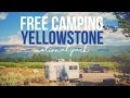 Free Camping at Yellowstone National Park - a Drivin' & Vibin' Travel Vlog Free Camping at Yellowstone National Park - a Drivin' & Vibin' Travel Vlog