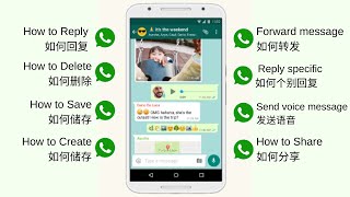 基本Whatsapp 技巧 WA101  Basics WhatsApp Tips WA101 (Chinese)