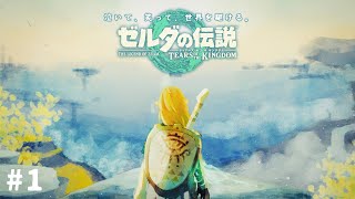 【実況】広がる世界の、ティアーズオブザキングダム # １【ゼルダの伝説】