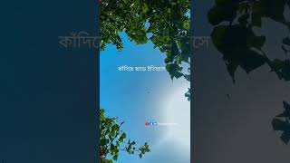 পুরুষ জাতি এতটাই আশক্ত হয় যে তার বাবার মৃত্যুতে কান্না করে না..!💔😰