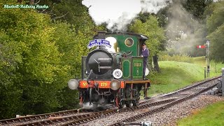 P Class 178 bids farewell | 'The Bluebell Railway' 4th October 2020