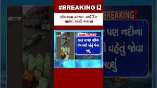 Godhara ના APMC માર્કેટિંગ યાર્ડમાં પાણી ભરાયા | Rain Forecast | Shorts