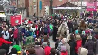 Rosenmontagsumzug 2015 in Böblingen