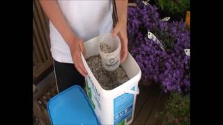 TerraCottem Universal in containers (home gardener)