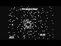 selective silicate directed motility in diatoms