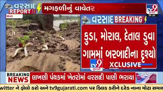 Banaskantha farms submerged in rainwater; farmers fearing a huge crop loss | Gujarat Rains | Monsoon