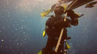 [4K] AOW diving, Kumomi, Izu, Shizuoka, Japan [Sep 9, 2022]