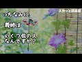 【スカッとする話】トメ「嫁子…朝食の時間ね」私「そうですね」トメ「さっさと朝食つくりなさい！何のんびりしてるの！」エネ夫「ハラへったよー嫁子早く作ってよ」私「なぜ私が？」トメ「嫁子！さっさと…」結果ｗ