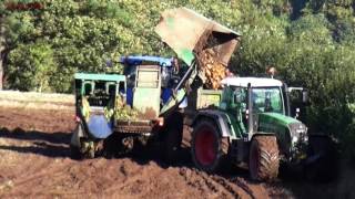 Fodder Beet Lifting with New Holland and Fendt.