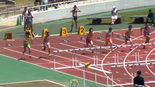 県総体　男子　１１０ｍH　予選